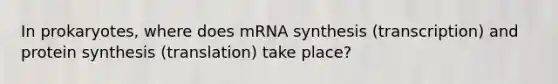 In prokaryotes, where does mRNA synthesis (transcription) and protein synthesis (translation) take place?