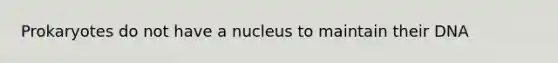 Prokaryotes do not have a nucleus to maintain their DNA