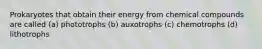 Prokaryotes that obtain their energy from chemical compounds are called (a) phototrophs (b) auxotrophs (c) chemotrophs (d) lithotrophs