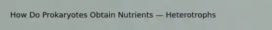 How Do Prokaryotes Obtain Nutrients — Heterotrophs