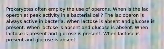 Prokaryotes often employ the use of operons. When is the lac operon at peak activity in a bacterial cell? The lac operon is always active in bacteria. When lactose is absent and glucose is present. When lactose is absent and glucose is absent. When lactose is present and glucose is present. When lactose is present and glucose is absent.