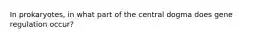 In prokaryotes, in what part of the central dogma does gene regulation occur?