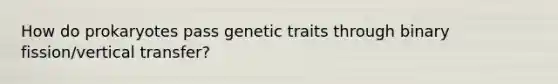 How do prokaryotes pass genetic traits through binary fission/vertical transfer?