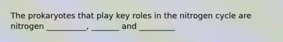 The prokaryotes that play key roles in the nitrogen cycle are nitrogen __________, _______ and _________