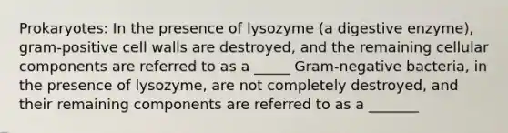 Prokaryotes: In the presence of lysozyme (a digestive enzyme), gram-positive cell walls are destroyed, and the remaining cellular components are referred to as a _____ Gram-negative bacteria, in the presence of lysozyme, are not completely destroyed, and their remaining components are referred to as a _______