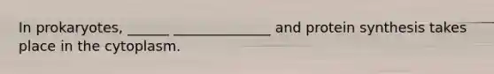In prokaryotes, ______ ______________ and protein synthesis takes place in the cytoplasm.