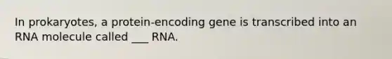 In prokaryotes, a protein-encoding gene is transcribed into an RNA molecule called ___ RNA.