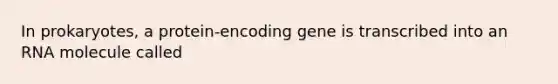 In prokaryotes, a protein-encoding gene is transcribed into an RNA molecule called