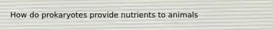 How do prokaryotes provide nutrients to animals