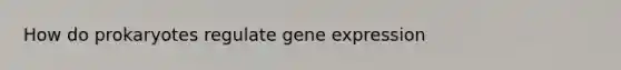 How do prokaryotes regulate gene expression