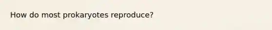 How do most prokaryotes reproduce?