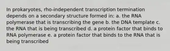 In prokaryotes, rho-independent transcription termination depends on a secondary structure formed in: a. the RNA polymerase that is transcribing the gene b. the DNA template c. the RNA that is being transcribed d. a protein factor that binds to RNA polymerase e. a protein factor that binds to the RNA that is being transcribed