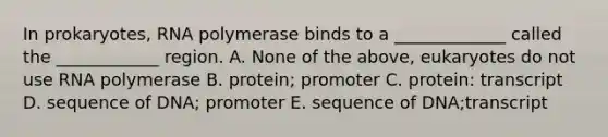 In prokaryotes, RNA polymerase binds to a _____________ called the ____________ region. A. None of the above, eukaryotes do not use RNA polymerase B. protein; promoter C. protein: transcript D. sequence of DNA; promoter E. sequence of DNA;transcript