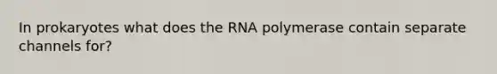 In prokaryotes what does the RNA polymerase contain separate channels for?