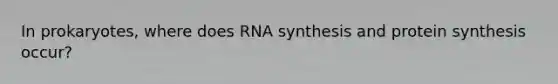 In prokaryotes, where does RNA synthesis and protein synthesis occur?