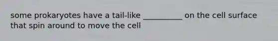 some prokaryotes have a tail-like __________ on the cell surface that spin around to move the cell