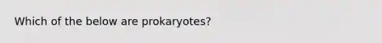 Which of the below are prokaryotes?