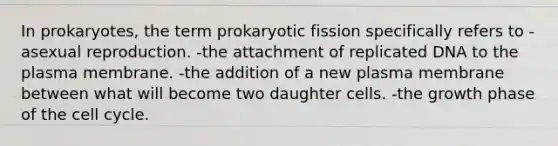 In prokaryotes, the term prokaryotic fission specifically refers to -asexual reproduction. -the attachment of replicated DNA to the plasma membrane. -the addition of a new plasma membrane between what will become two daughter cells. -the growth phase of the cell cycle.