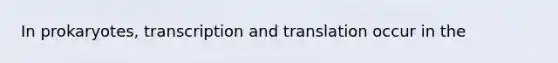 In prokaryotes, transcription and translation occur in the