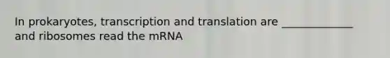 In prokaryotes, <a href='https://www.questionai.com/knowledge/kWsjwWywkN-transcription-and-translation' class='anchor-knowledge'>transcription and translation</a> are _____________ and ribosomes read the mRNA