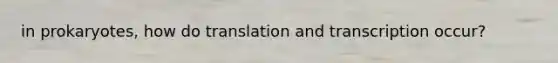 in prokaryotes, how do translation and transcription occur?