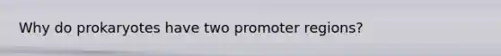 Why do prokaryotes have two promoter regions?