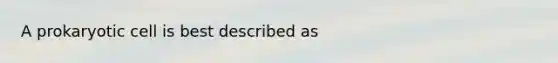 A prokaryotic cell is best described as
