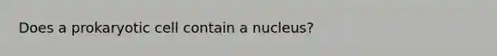 Does a prokaryotic cell contain a nucleus?