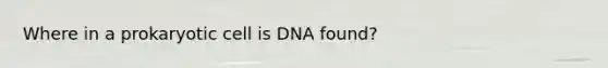 Where in a prokaryotic cell is DNA found?