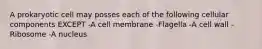 A prokaryotic cell may posses each of the following cellular components EXCEPT -A cell membrane -Flagella -A cell wall -Ribosome -A nucleus