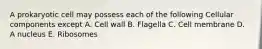 A prokaryotic cell may possess each of the following Cellular components except A. Cell wall B. Flagella C. Cell membrane D. A nucleus E. Ribosomes