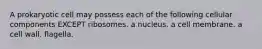 A prokaryotic cell may possess each of the following cellular components EXCEPT ribosomes. a nucleus. a cell membrane. a cell wall. flagella.