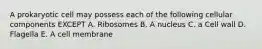 A prokaryotic cell may possess each of the following cellular components EXCEPT A. Ribosomes B. A nucleus C. a Cell wall D. Flagella E. A cell membrane