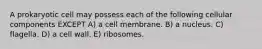 A prokaryotic cell may possess each of the following cellular components EXCEPT A) a cell membrane. B) a nucleus. C) flagella. D) a cell wall. E) ribosomes.