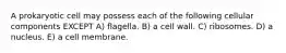 A prokaryotic cell may possess each of the following cellular components EXCEPT A) flagella. B) a cell wall. C) ribosomes. D) a nucleus. E) a cell membrane.