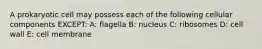 A prokaryotic cell may possess each of the following cellular components EXCEPT: A: flagella B: nucleus C: ribosomes D: cell wall E: cell membrane