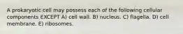 A prokaryotic cell may possess each of the following cellular components EXCEPT A) cell wall. B) nucleus. C) flagella. D) cell membrane. E) ribosomes.