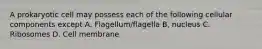 A prokaryotic cell may possess each of the following cellular components except A. Flagellum/flagella B, nucleus C. Ribosomes D. Cell membrane