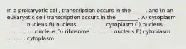 In a prokaryotic cell, transcription occurs in the _____, and in an eukaryotic cell transcription occurs in the ________. A) cytoplasm ........... nucleus B) nucleus ................ cytoplasm C) nucleus ................ nucleus D) ribosome ............. nucleus E) cytoplasm ........... cytoplasm