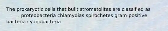 The prokaryotic cells that built stromatolites are classified as _____. proteobacteria chlamydias spirochetes gram-positive bacteria cyanobacteria