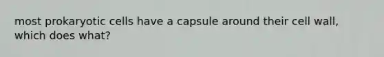 most prokaryotic cells have a capsule around their cell wall, which does what?