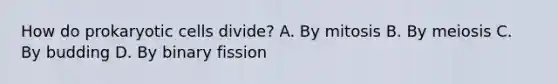 How do prokaryotic cells divide? A. By mitosis B. By meiosis C. By budding D. By binary fission