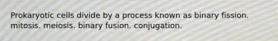 Prokaryotic cells divide by a process known as binary fission. mitosis. meiosis. binary fusion. conjugation.