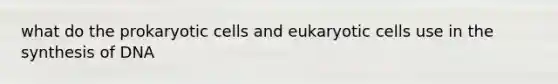 what do the prokaryotic cells and eukaryotic cells use in the synthesis of DNA