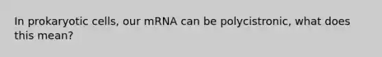 In prokaryotic cells, our mRNA can be polycistronic, what does this mean?