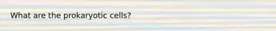 What are the prokaryotic cells?