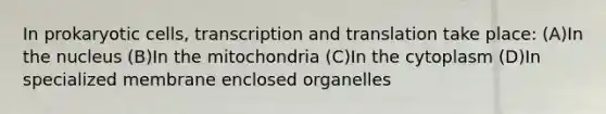 In prokaryotic cells, transcription and translation take place: (A)In the nucleus (B)In the mitochondria (C)In the cytoplasm (D)In specialized membrane enclosed organelles