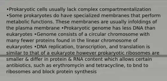 •Prokaryotic cells usually lack complex compartmentalization •Some prokaryotes do have specialized membranes that perform metabolic functions. These membranes are usually infoldings of the plasma membrane •Prokaryotic genome has less DNA than eukaryotes •Genome consists of a circular chromosome with many fewer proteins found in the linear chromosome of eukaryotes •DNA replication, transcription, and translation is similar to that of a eukaryote however prokaryotic ribosomes are smaller & differ in protein & RNA content which allows certain antibiotics, such as erythromycin and tetracycline, to bnd to ribosomes and block protein synthesis