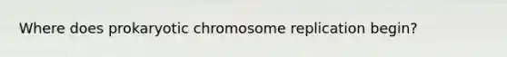 Where does prokaryotic chromosome replication begin?