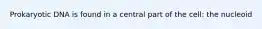 Prokaryotic DNA is found in a central part of the cell: the nucleoid